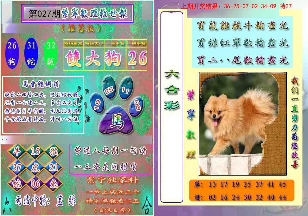 2025027期数理救世报