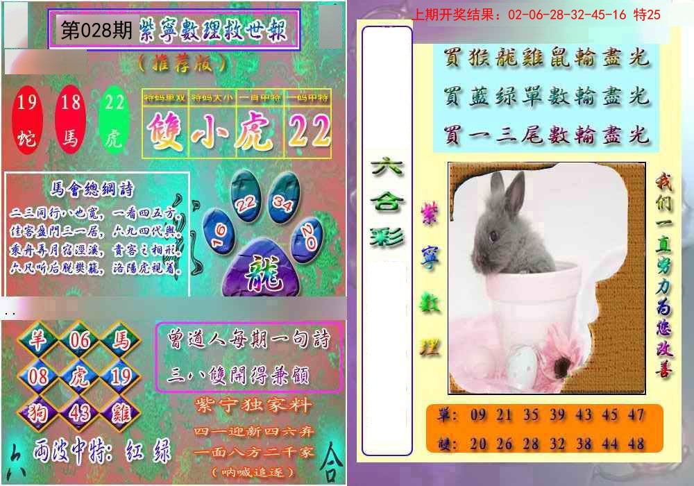 2025028期数理救世报