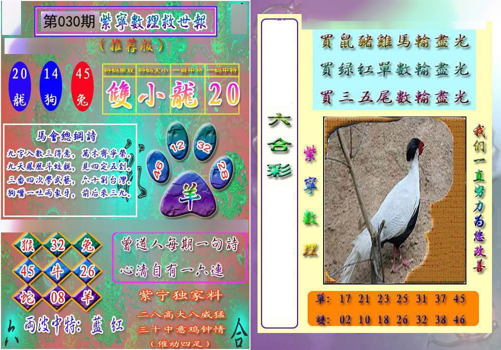 2025030期数理救世报
