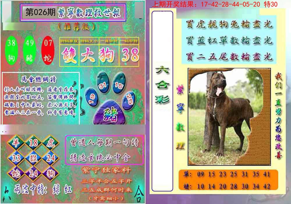 2025026期数理救世报