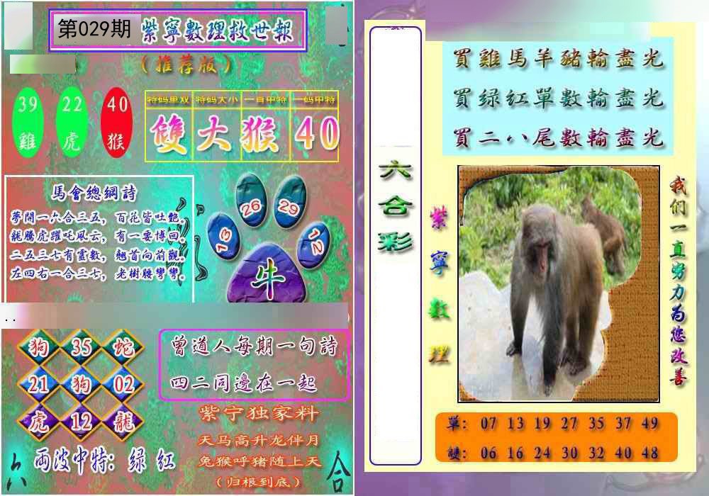 2025029期数理救世报