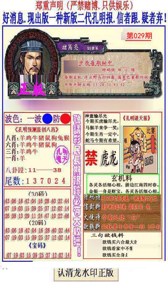 2025029期另二代孔明报