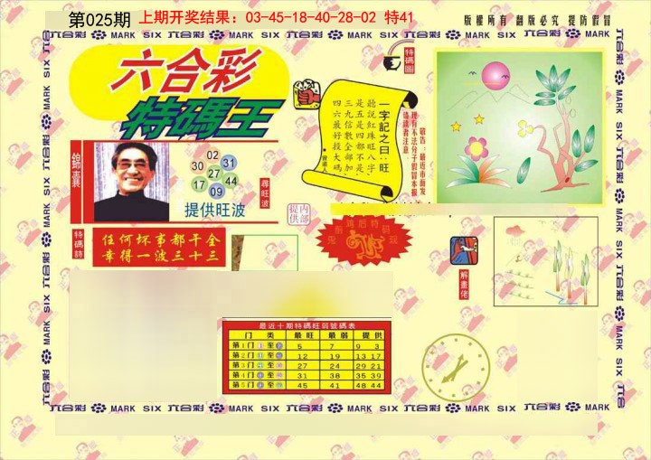 2025025期特码王