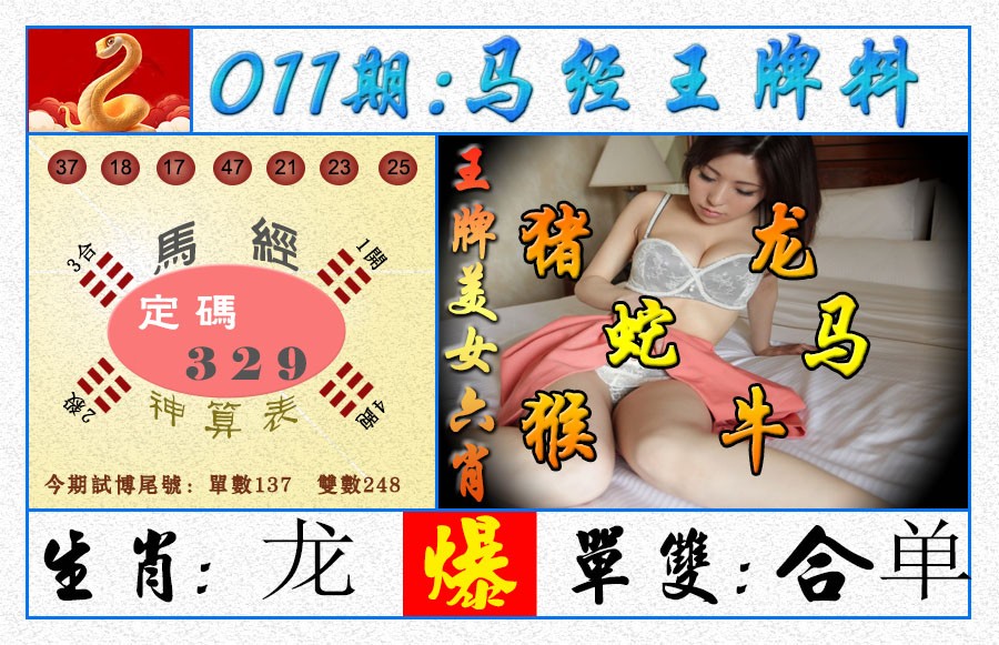 2025011期王牌料