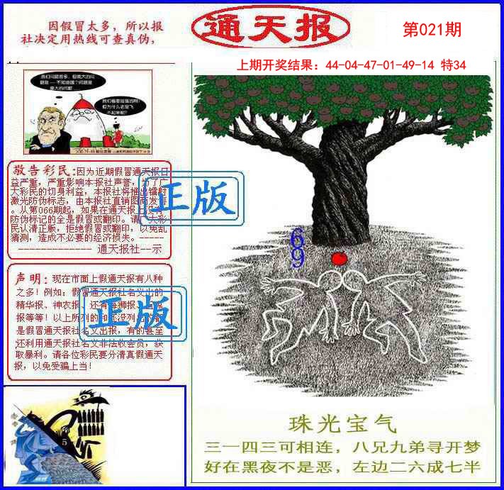 2025021期正版通天报