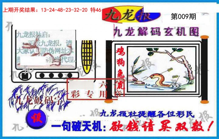 2025009期九龙报(信封)