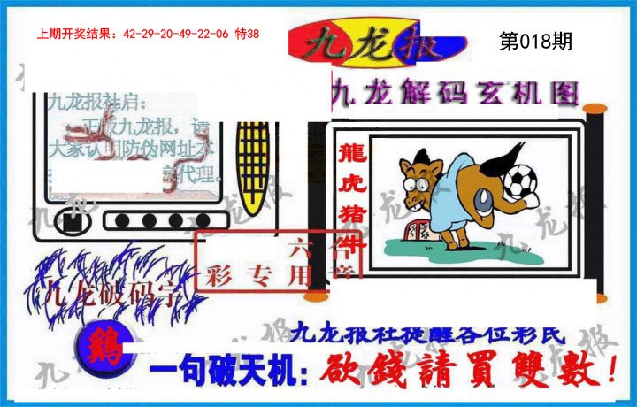 2025018期九龙报(信封)