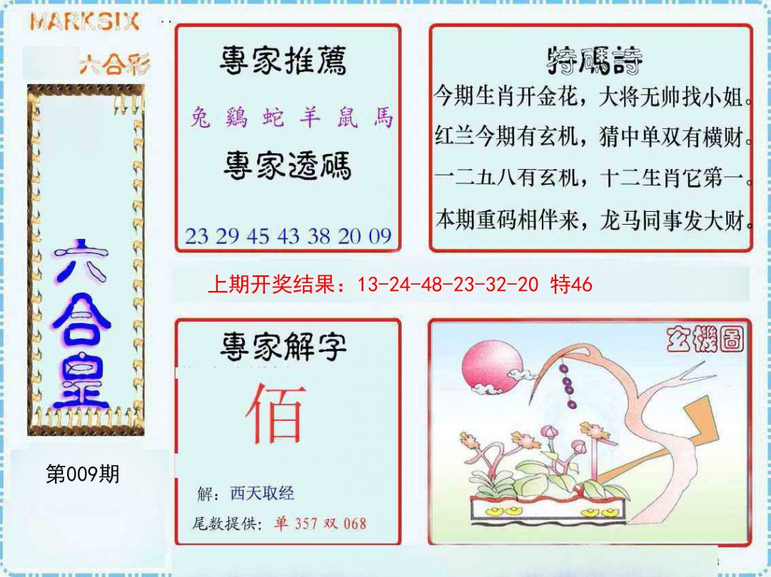 2025009期六合皇