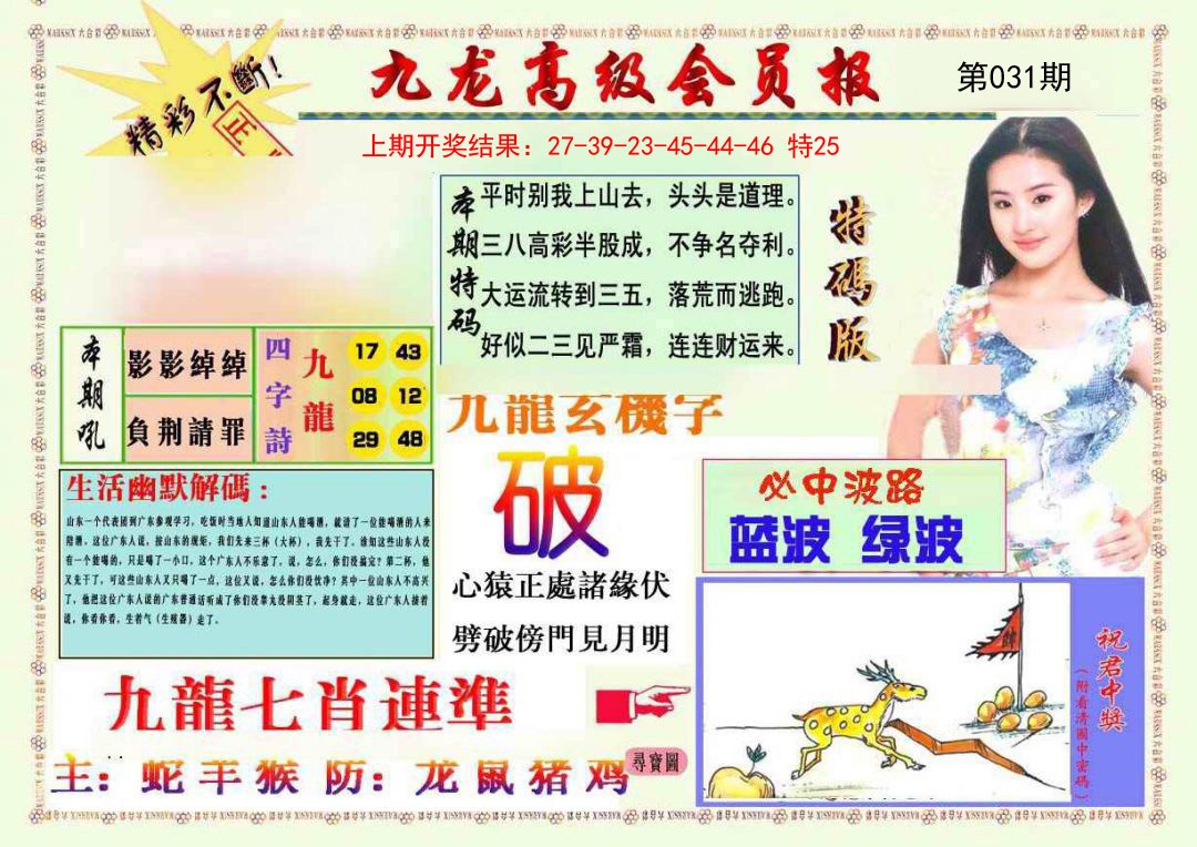 2025031期九龙高级会员报