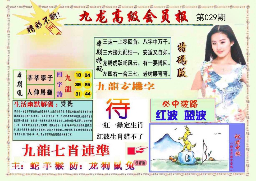 2025029期九龙高级会员报