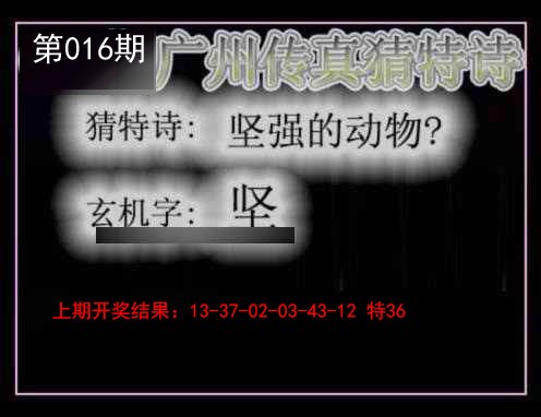 2025016期广州传真猜特诗