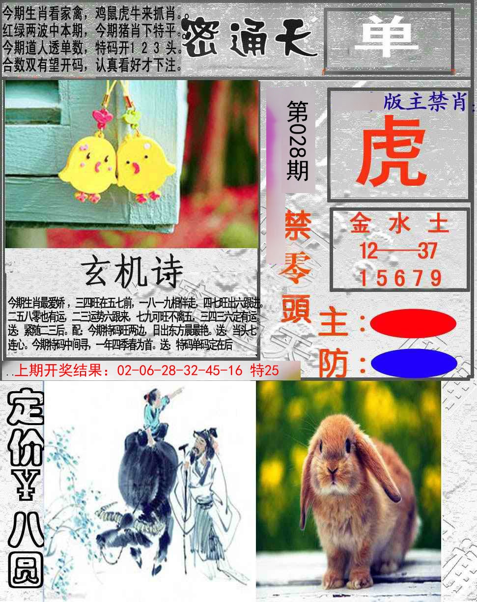 2025028期密通天