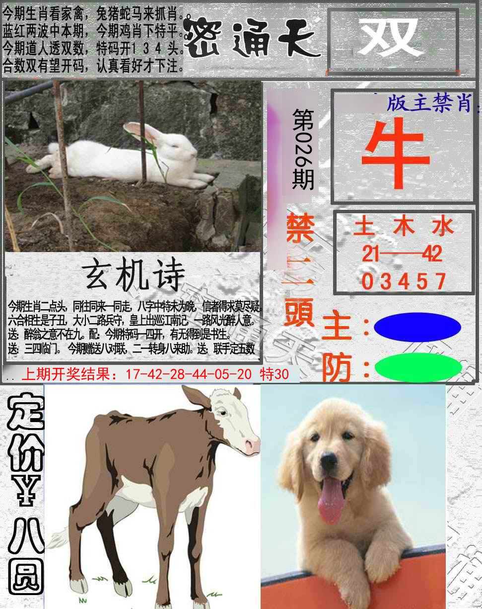 2025026期密通天