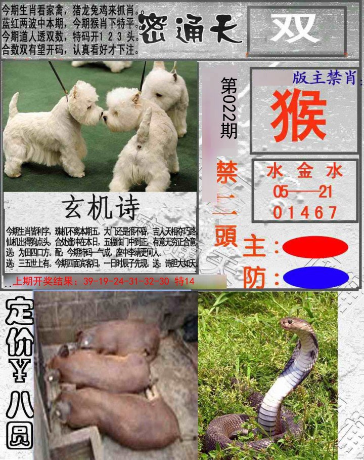 2025022期密通天