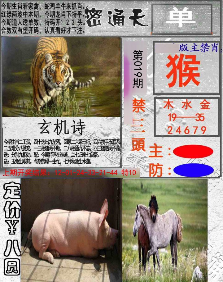 2025019期密通天