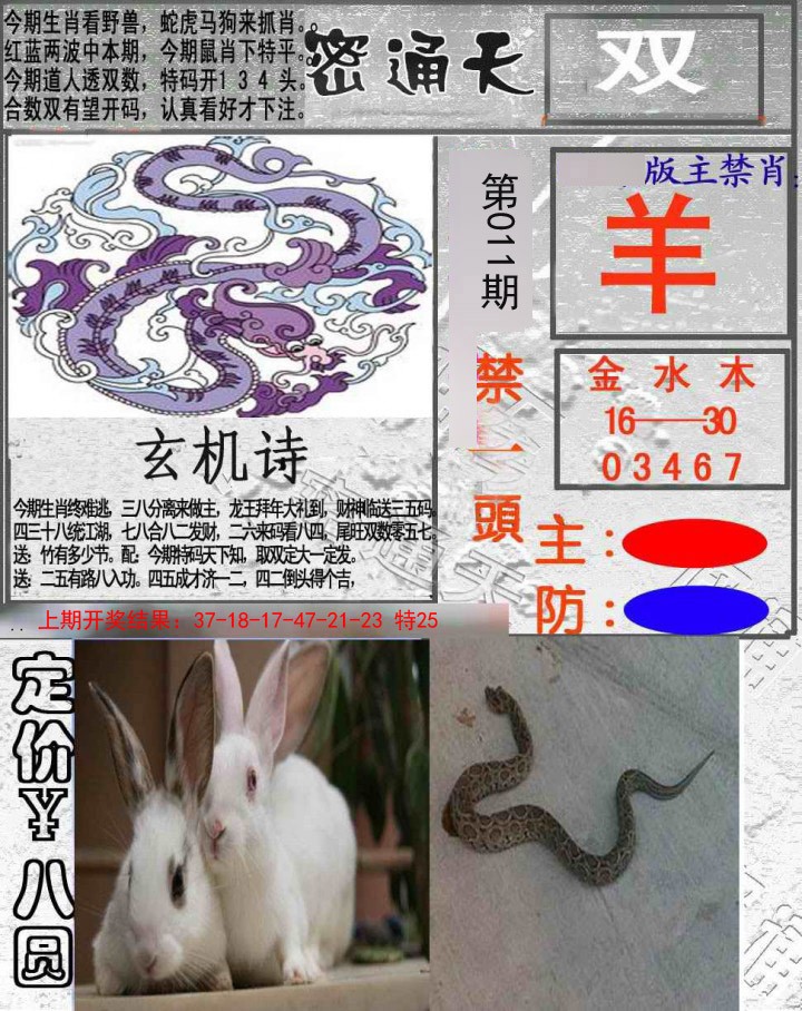 2025011期密通天