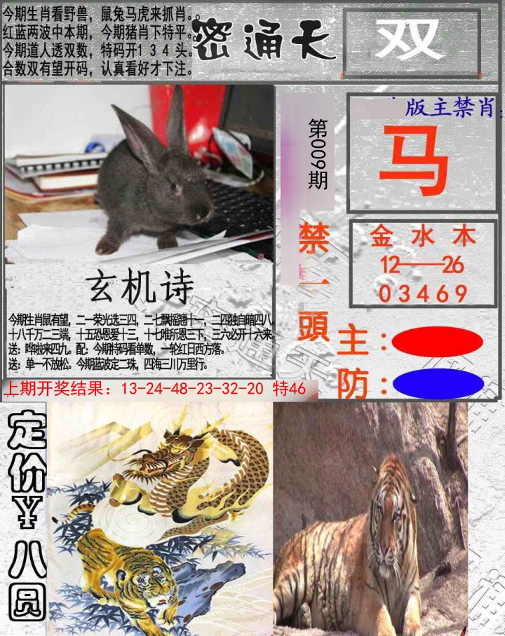 2025009期密通天