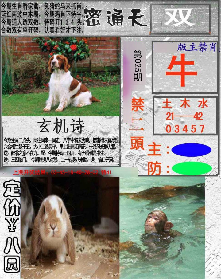 2025025期密通天