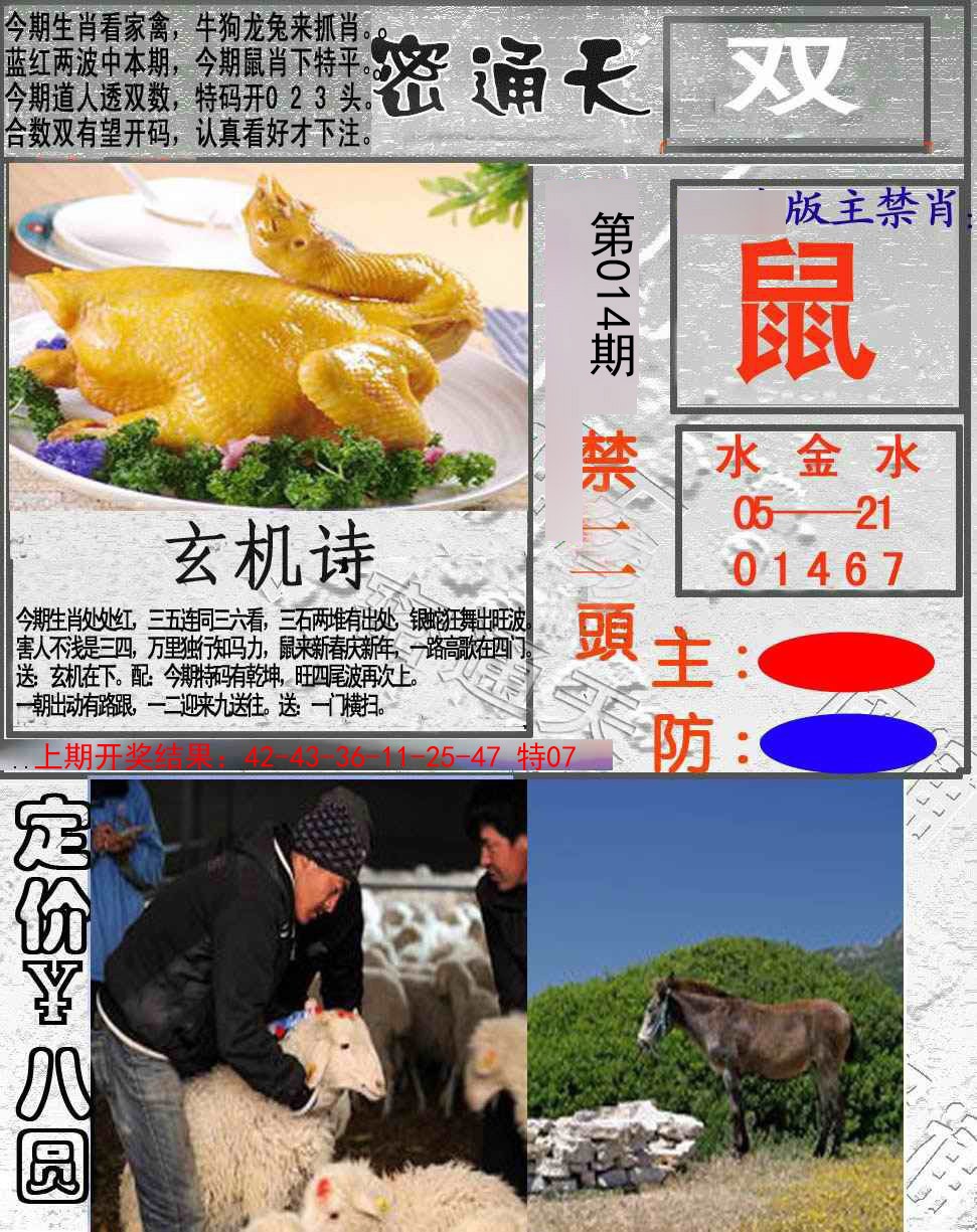 2025014期密通天