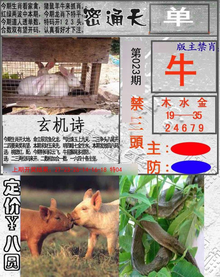2025023期密通天