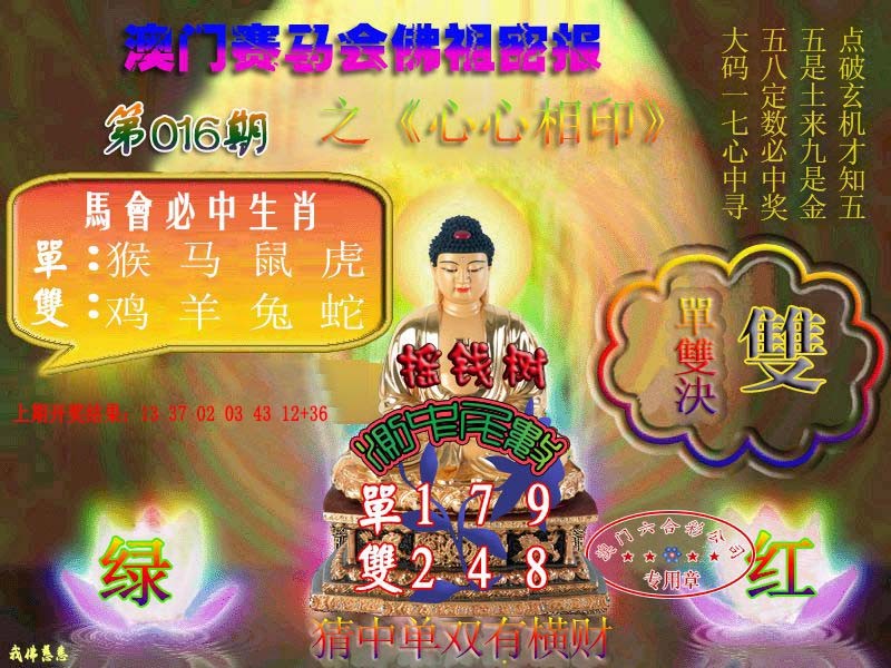 2025016期佛主密报-莲花双宝
