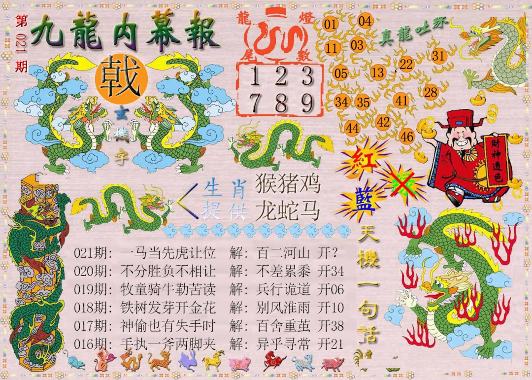 2025021期九龙内幕报
