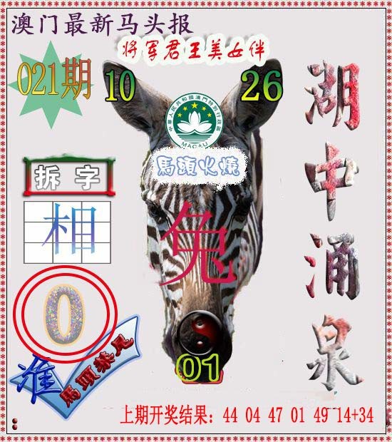 2025021期马头报