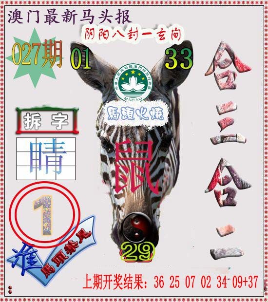 2025027期马头报