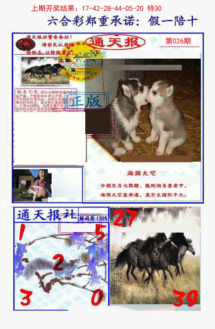 2025026期假一陪十通天报