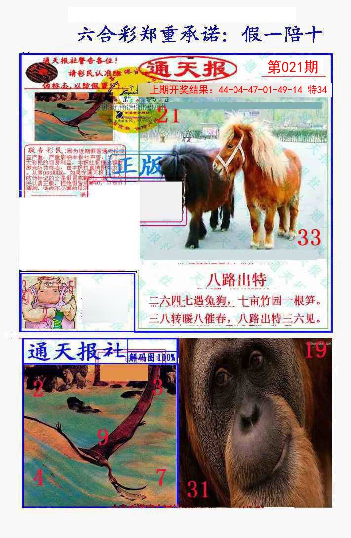 2025021期假一陪十通天报