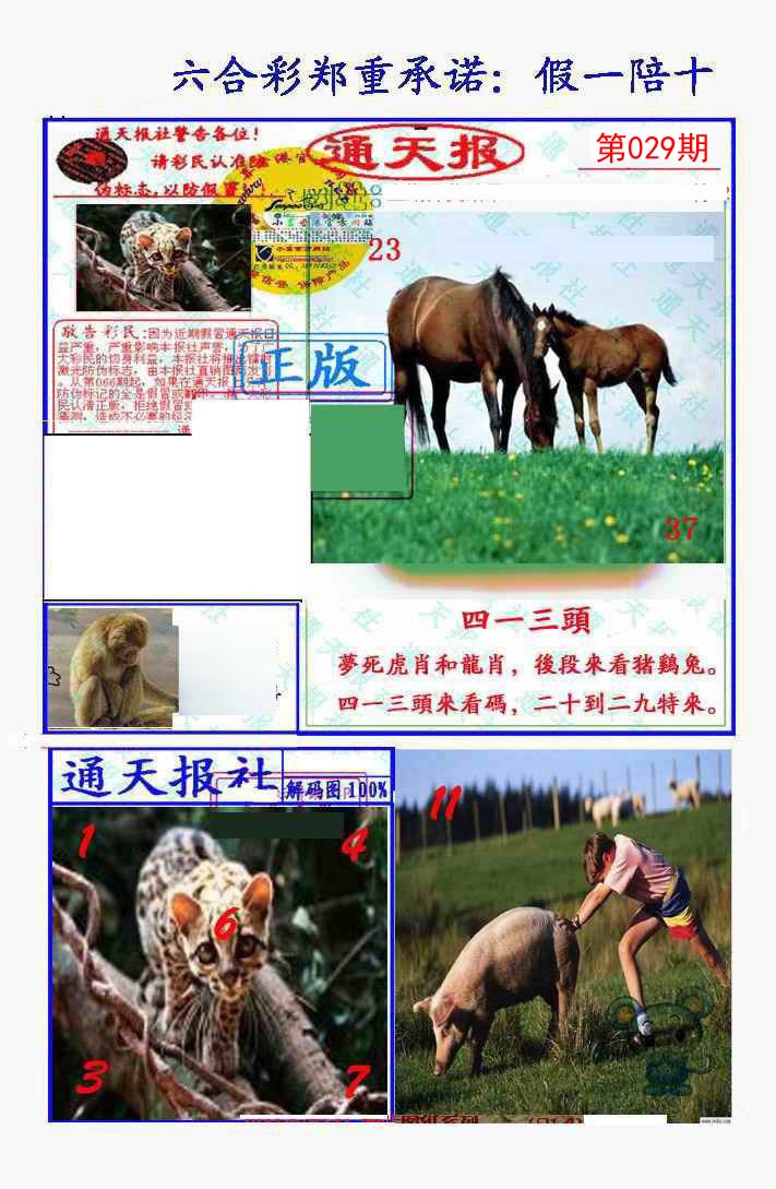 2025029期假一陪十通天报