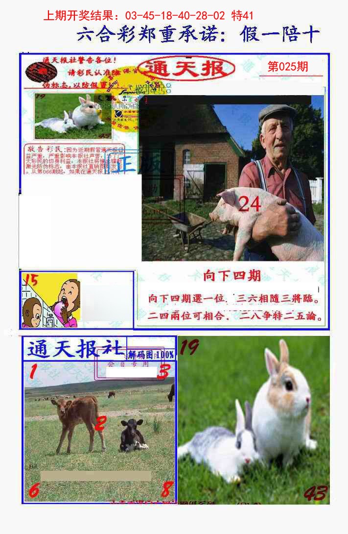 2025025期假一陪十通天报