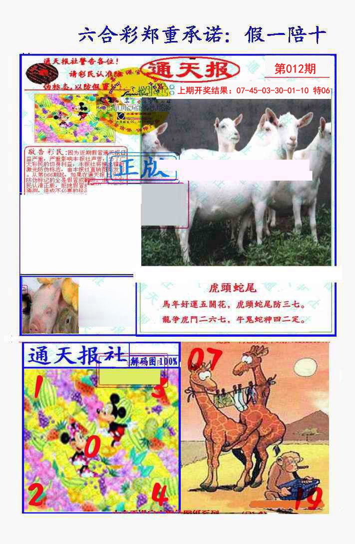 2025012期假一陪十通天报