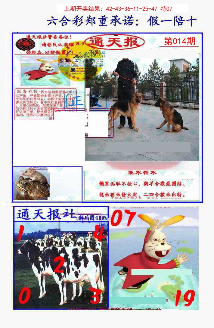 2025014期假一陪十通天报