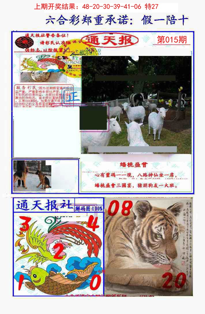 2025015期假一陪十通天报