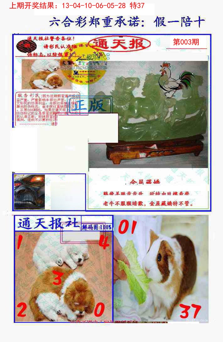 2025003期假一陪十通天报