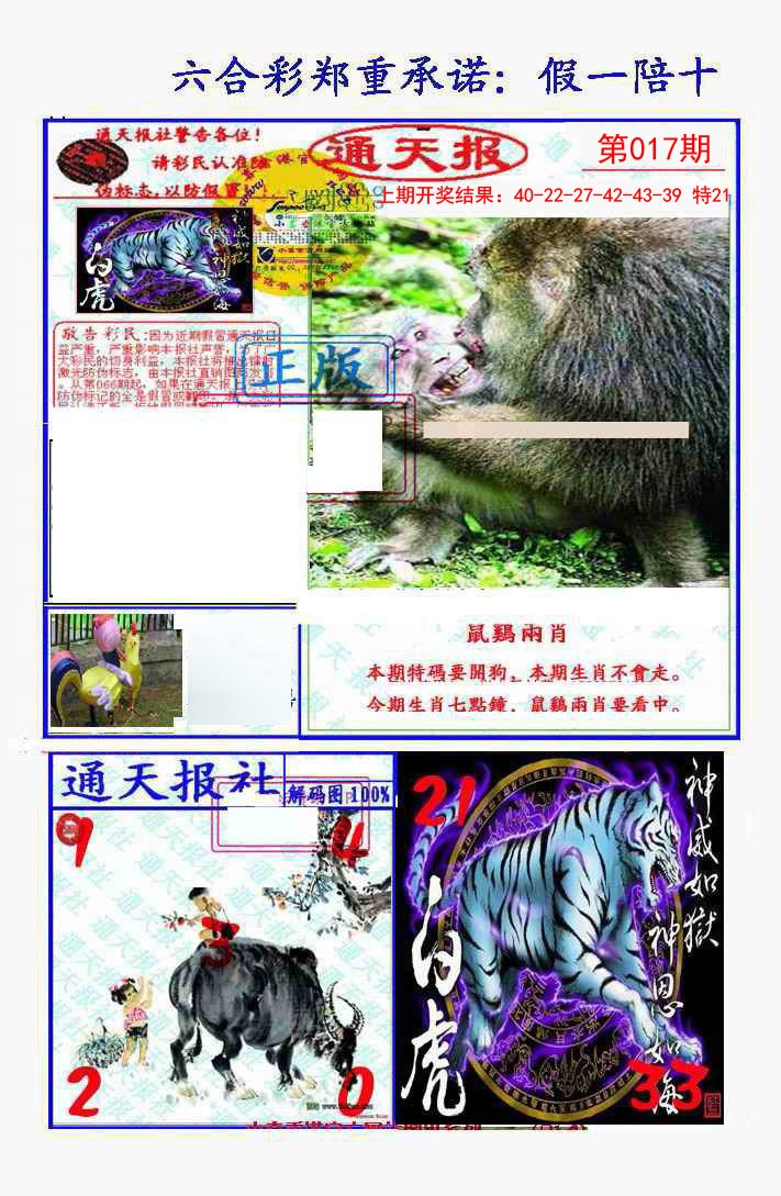 2025017期假一陪十通天报