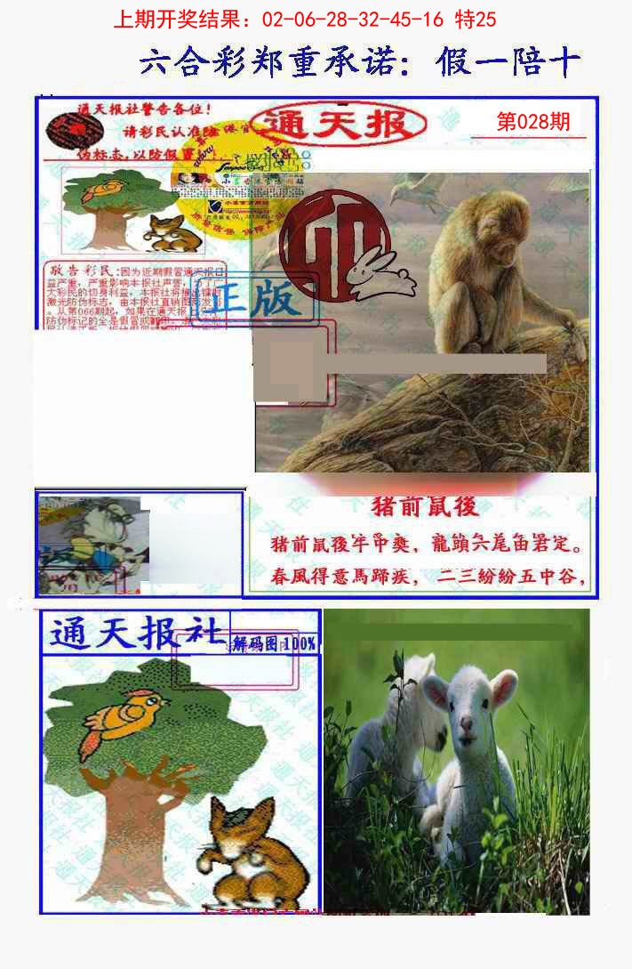 2025028期假一陪十通天报