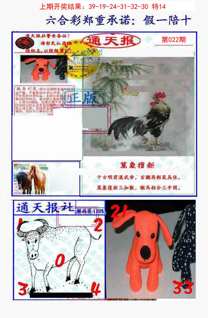 2025022期假一陪十通天报
