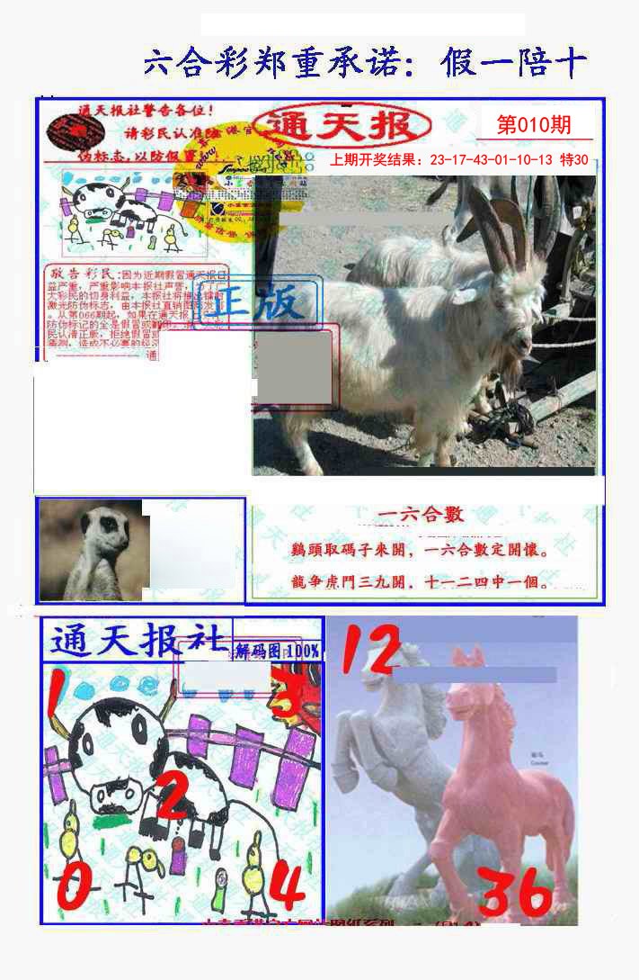2025010期假一陪十通天报