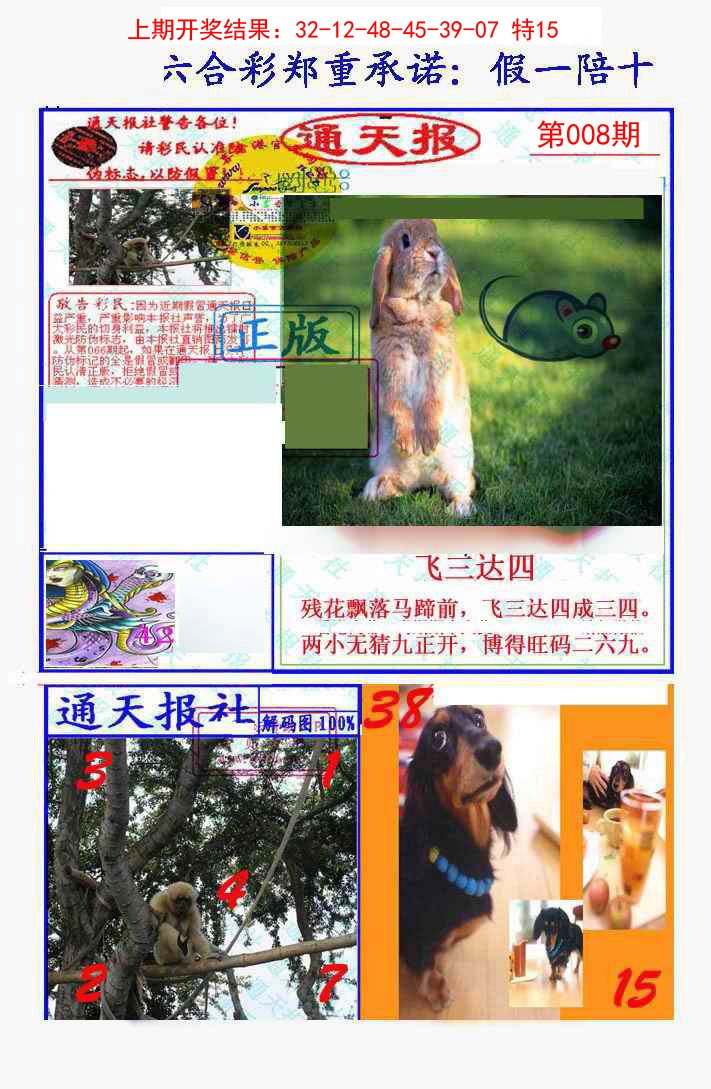 2025008期假一陪十通天报
