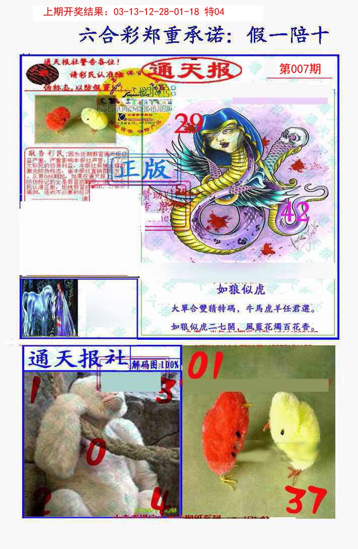 2025007期假一陪十通天报
