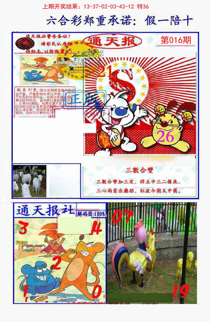 2025016期假一陪十通天报