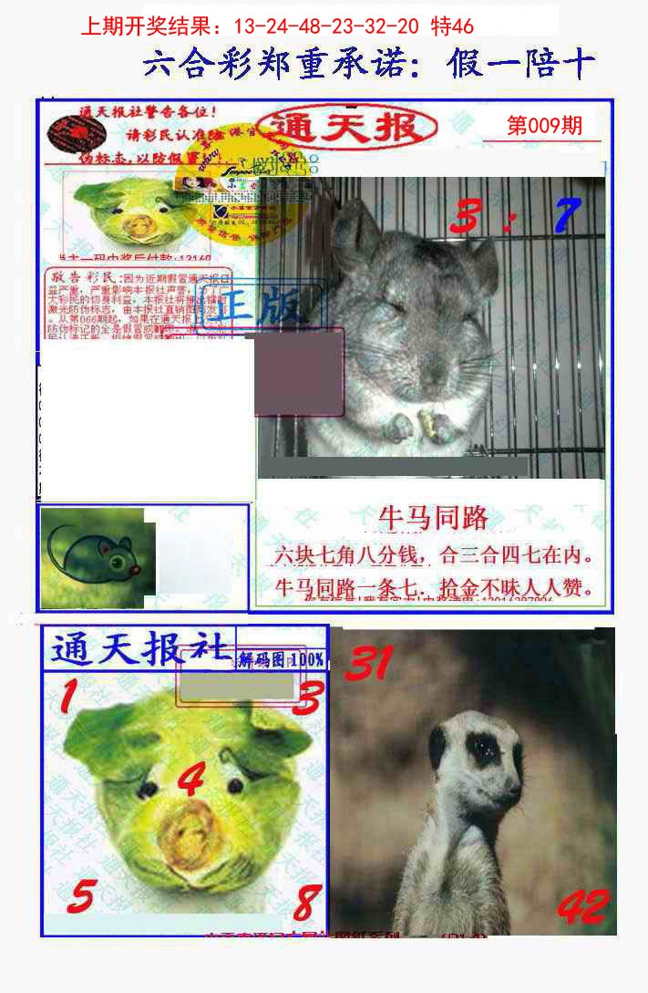 2025009期假一陪十通天报