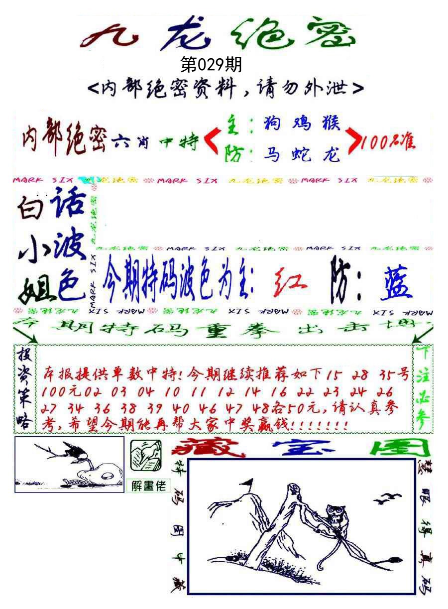 2025029期九龙密报