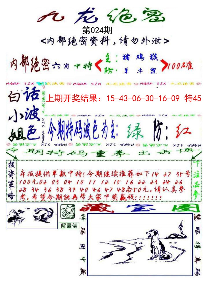 2025024期九龙密报