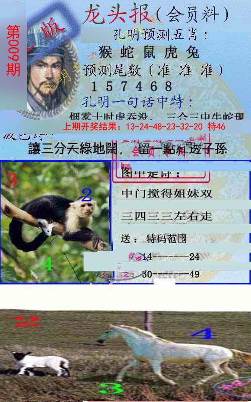 2025009期龙头报
