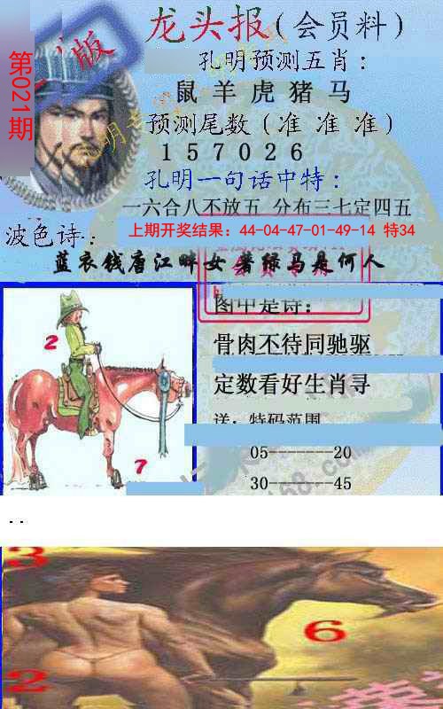 2025021期龙头报