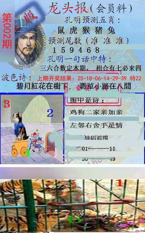 2025002期龙头报
