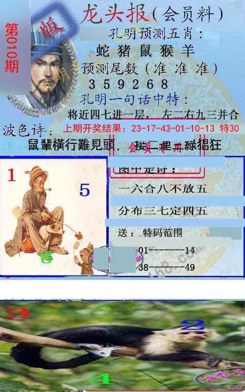 2025010期龙头报